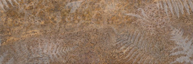 Dekor Kalahari Paradyż 25 x 75 cm metal rust C