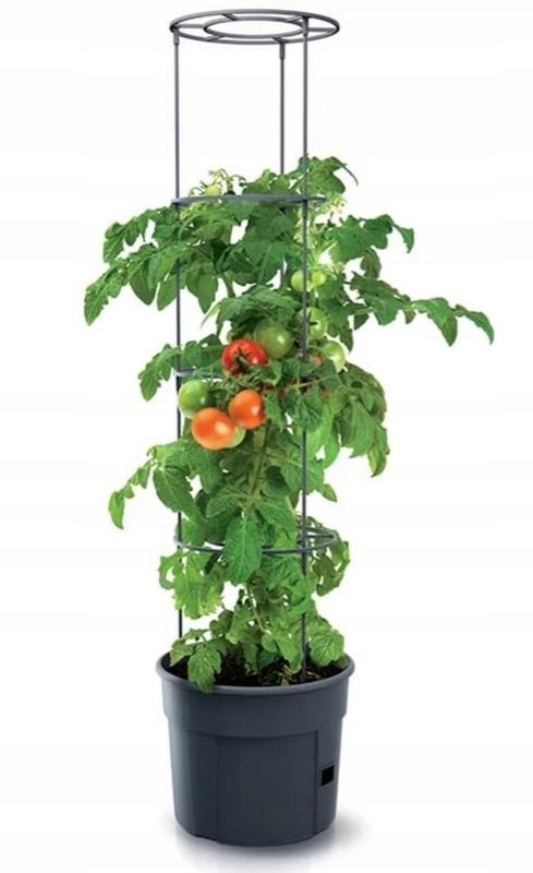 Donica KOTARBAU do uprawy pomidorów 39 cm 1 szt.