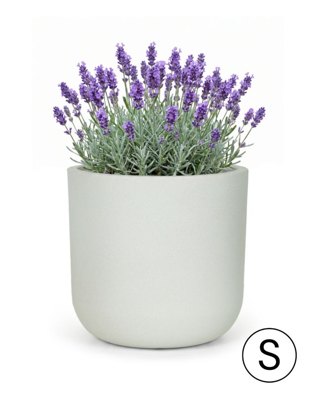 Donica ogrodowa, na balkon, do domu 30x30x28cm ELEGANTE S Mazovia - odporna na UV i mróz, wodoodporna, Biała imitująca beton 1szt