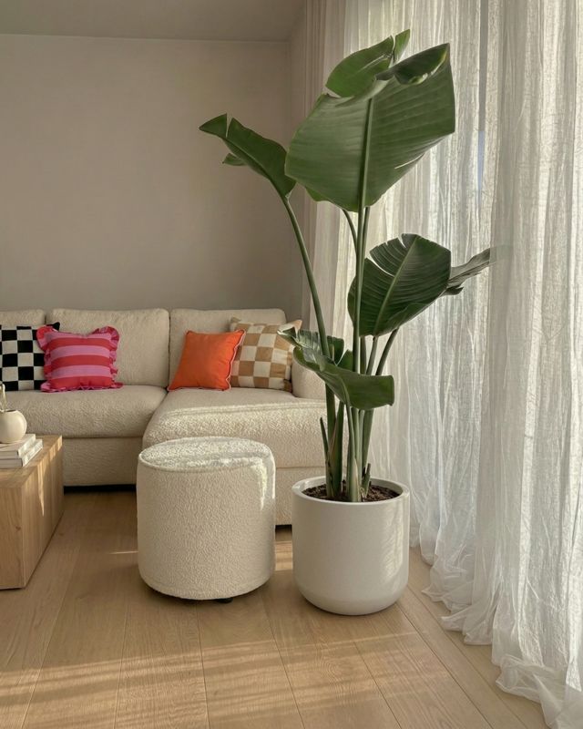 Donica ogrodowa, na balkon, do domu 30x30x28cm ELEGANTE S Mazovia - odporna na UV i mróz, wodoodporna, Biała imitująca beton 1szt