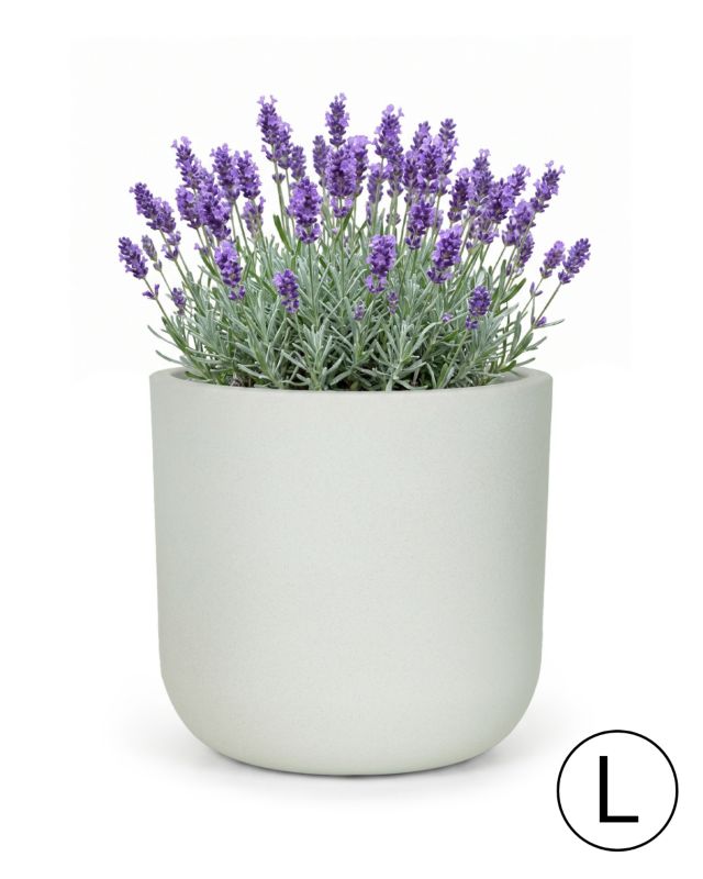Donica ogrodowa, na balkon, do domu 44x44x43cm ELEGANTE L Mazovia -odporna na UV i mróz,wodoodporna, Biała imitująca beton 1szt