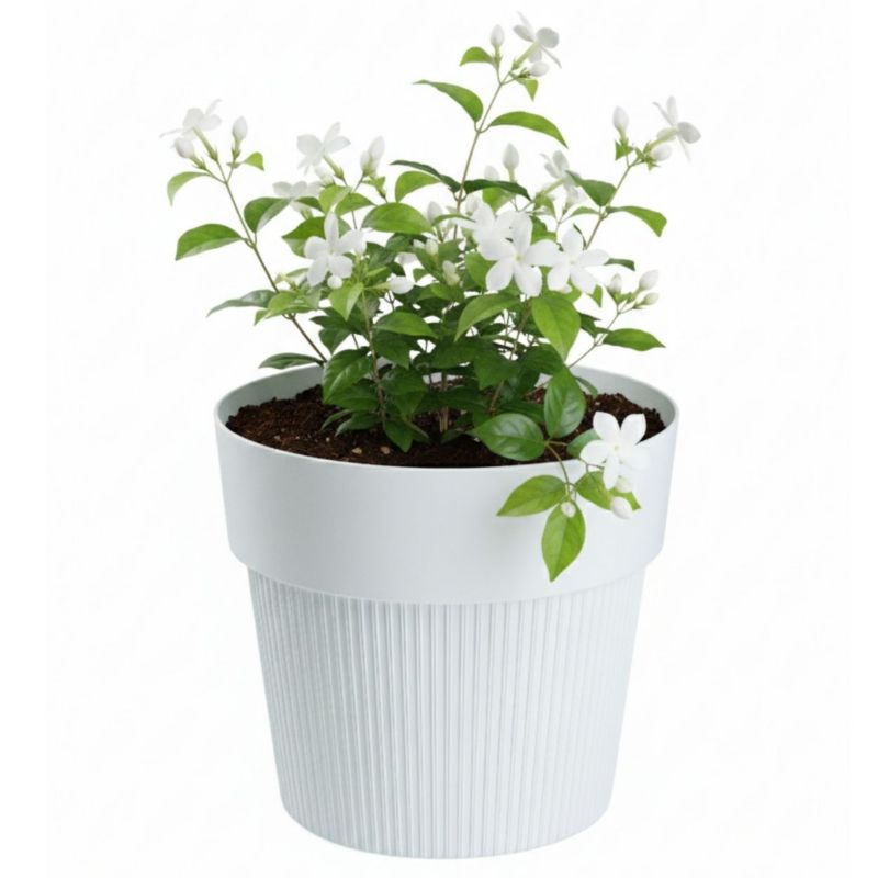 Donica plastikowa SILVA LINE HowHomely biała okrągła do domu 14,5 cm 1 szt.