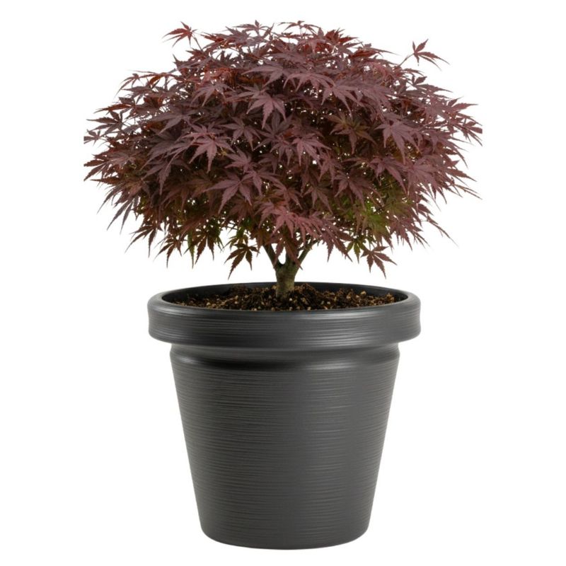Donica Srtia Riflo HowHomely ogrodowa szeroka antracyt h40x46 cm 1 szt.
