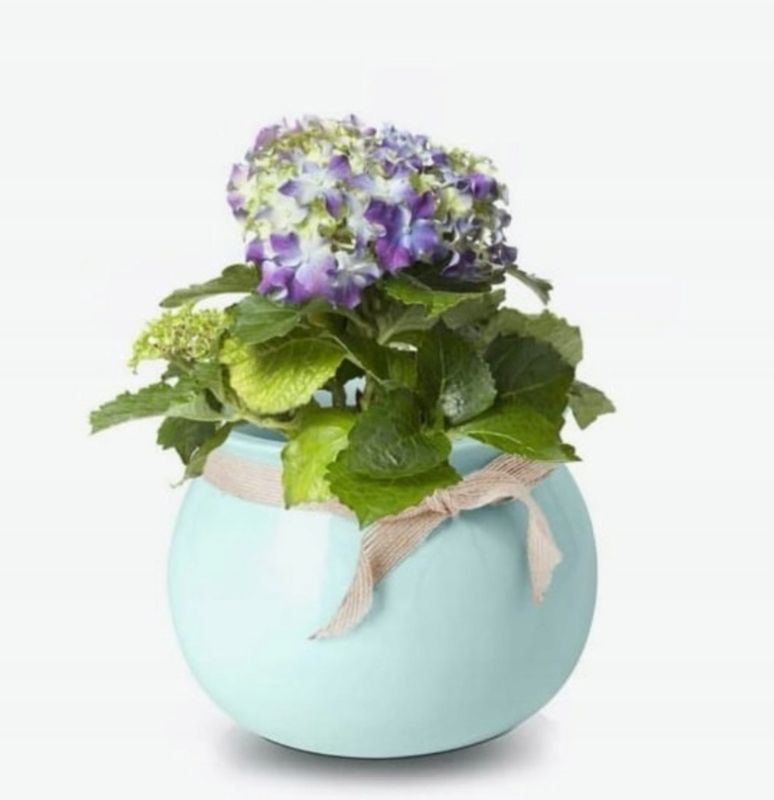 Doniczka ceramiczna KOTARBAU 10,5 cm 1 szt.
