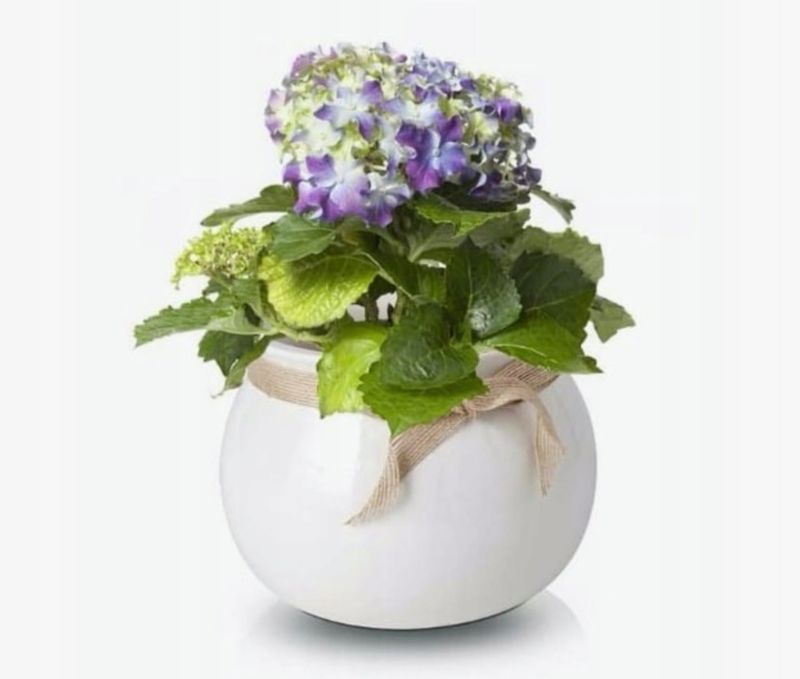 Doniczka ceramiczna KOTARBAU 17 cm 2 szt.