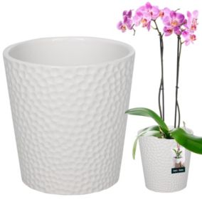 Doniczka ceramiczna KOTARBAU biała 12 cm 1 szt.