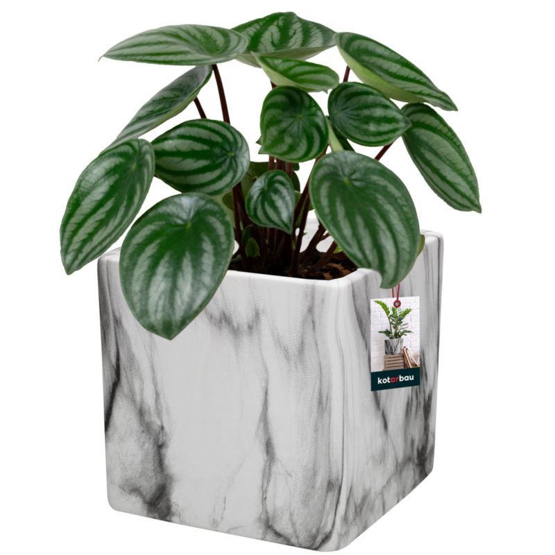 Doniczka ceramiczna KOTARBAU marmurowa kwadratowa 12x12 cm 1 szt.