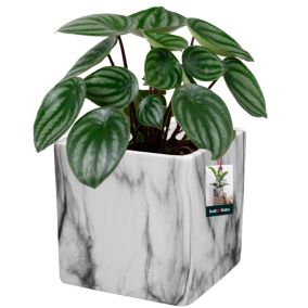 Doniczka ceramiczna KOTARBAU marmurowa kwadratowa 12x12 cm 1 szt.