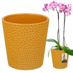 Doniczka ceramiczna KOTARBAU musztardowa 9,5 cm 1 szt.