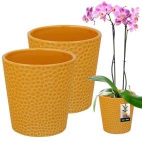Doniczka ceramiczna KOTARBAU musztardowa 9,5 cm 2 szt.