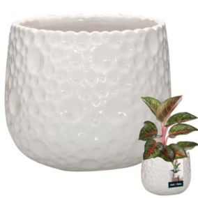 Doniczka ceramiczna KOTARBAU okrągła biała 12 cm 1 szt.