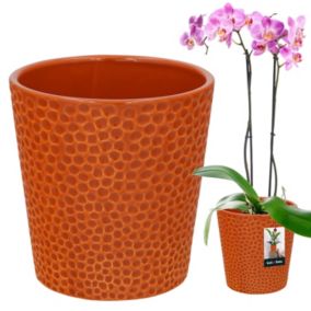 Doniczka ceramiczna KOTARBAU pomarańczowa 9,5 cm 1 szt.