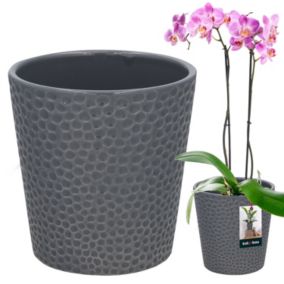 Doniczka ceramiczna KOTARBAU popiel 9,5 cm 1 szt.