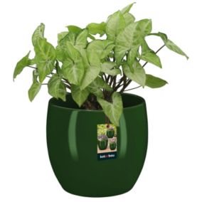Doniczka ceramiczna KOTARBAU szkliwiona zielona 13 cm 1 szt.