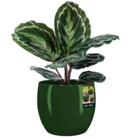 Doniczka ceramiczna KOTARBAU szkliwiona zielona 26 cm 1 szt.