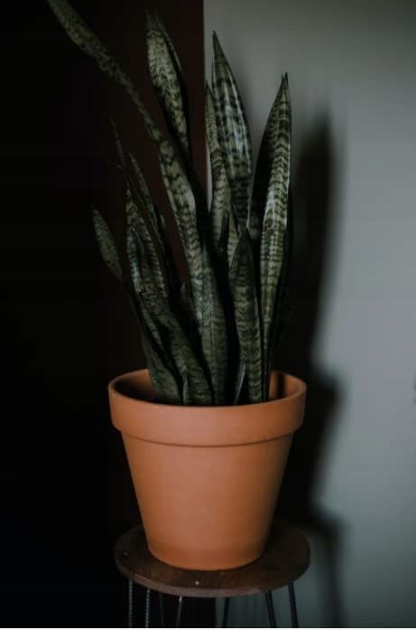 Doniczka ceramiczna KOTARBAU terakota 35 cm 1 szt.