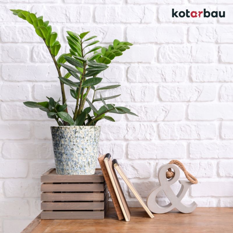 Doniczka ceramiczna KOTARBAU trapezowa szkliwiona 15 cm 2 szt.