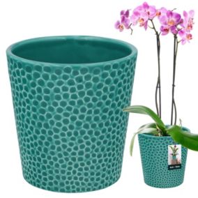 Doniczka ceramiczna KOTARBAU turkus 12 cm 1 szt.