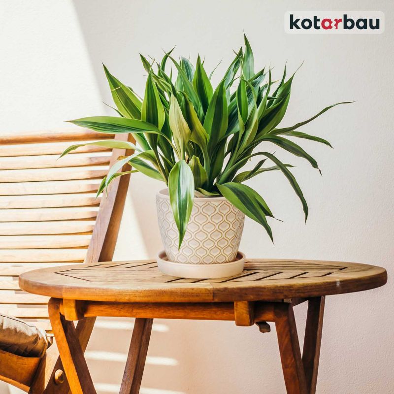 Doniczka ceramiczna KOTARBAU z podstawką 12 cm kremowa 2 szt.
