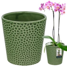 Doniczka ceramiczna KOTARBAU zielona 9,5 cm 1 szt.