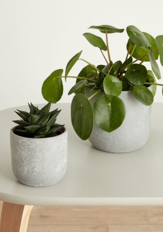 Doniczka ceramiczna Verve ozdobna 9 cm speckle