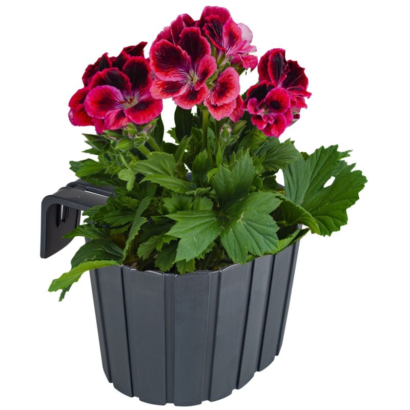 Doniczka Deco4Home skrzynka balkonowa antracyt 19,5cm 1 szt.