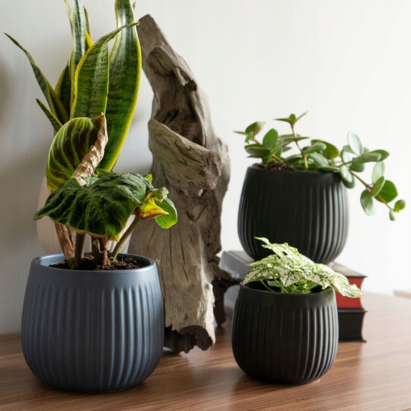 Doniczka KADAX Ceramiczna 14cm Osłonka Granatowa 1szt.