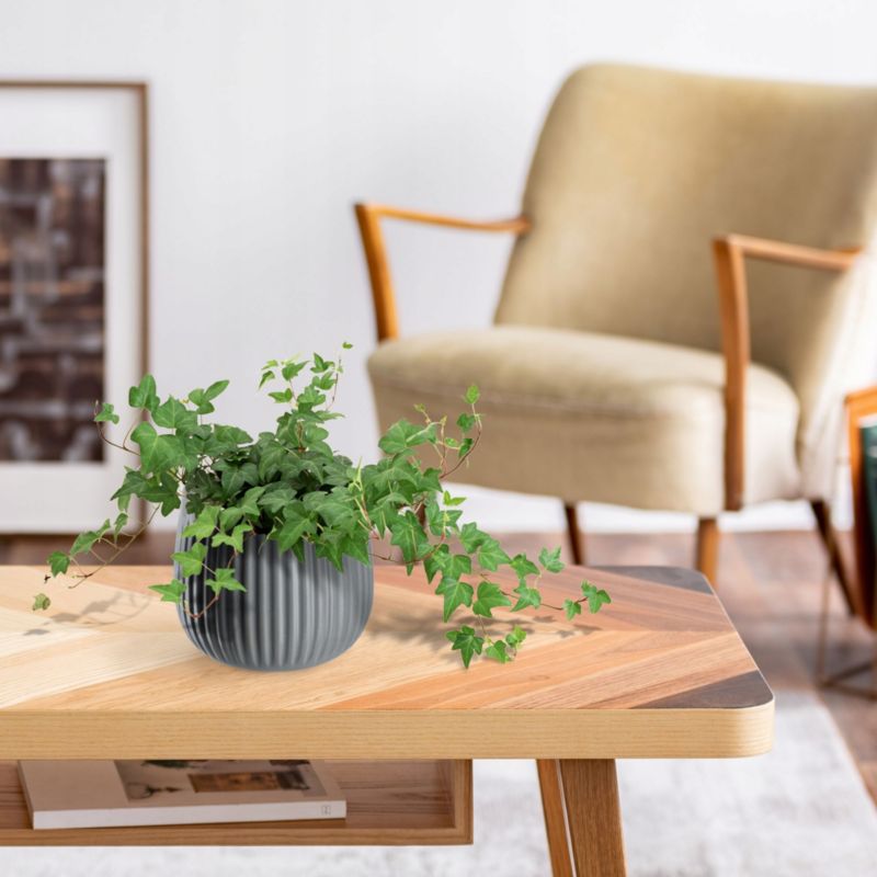 Doniczka KADAX Ceramiczna 14cm Osłonka szara 1szt.