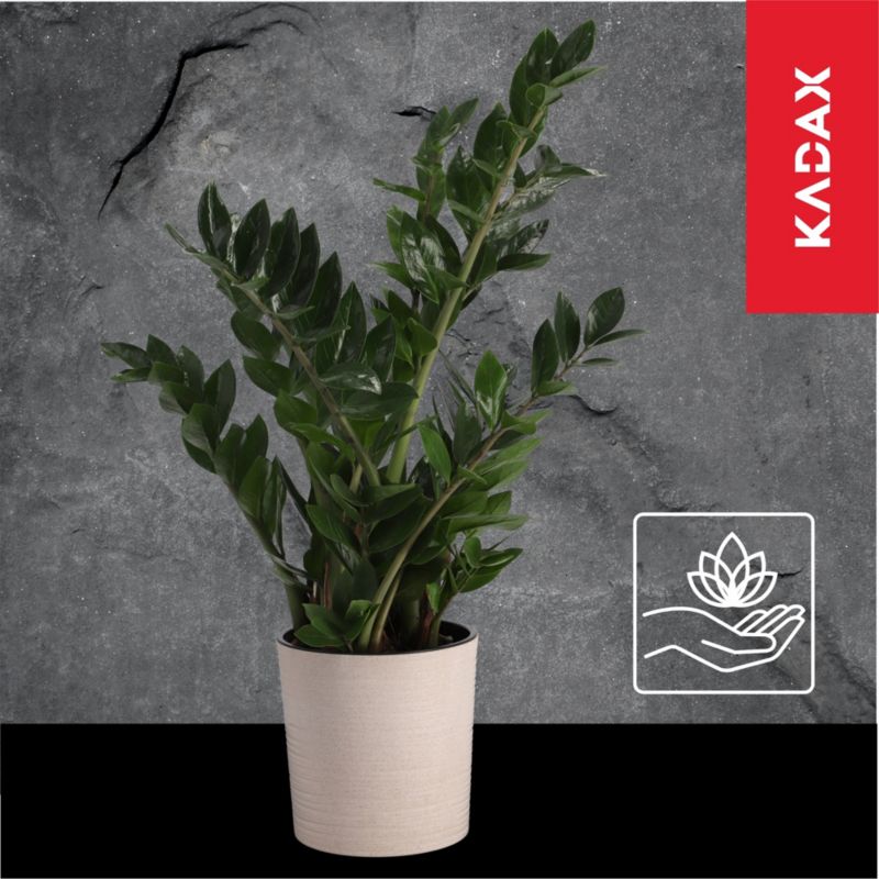 Doniczka KADAX Osłonka Donica misa Na Kwiaty  25cm 1 szt.