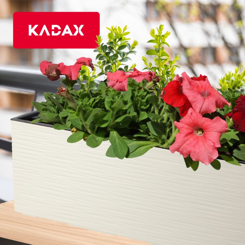 Doniczka KADAX Skrzynka Balkonowa + Wkład 19x56cm Krem 1szt.