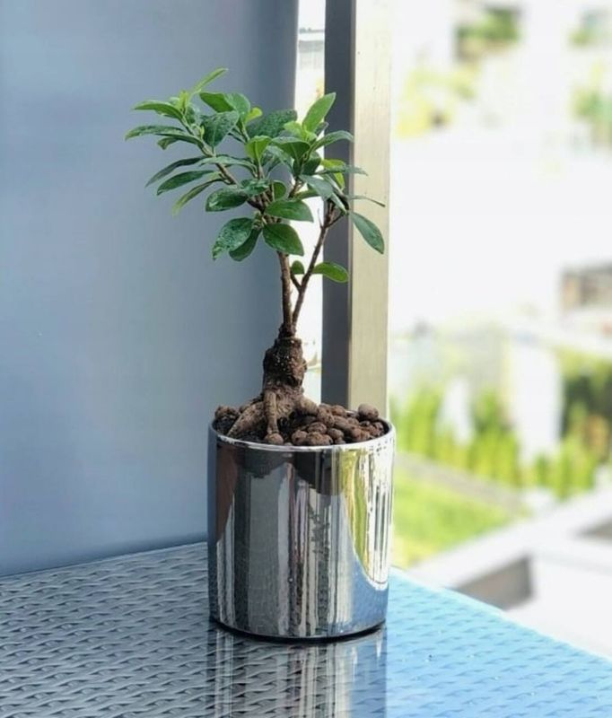 Doniczka KOTARBAU srebrna ceramiczna połysk 160 mm 2 szt.