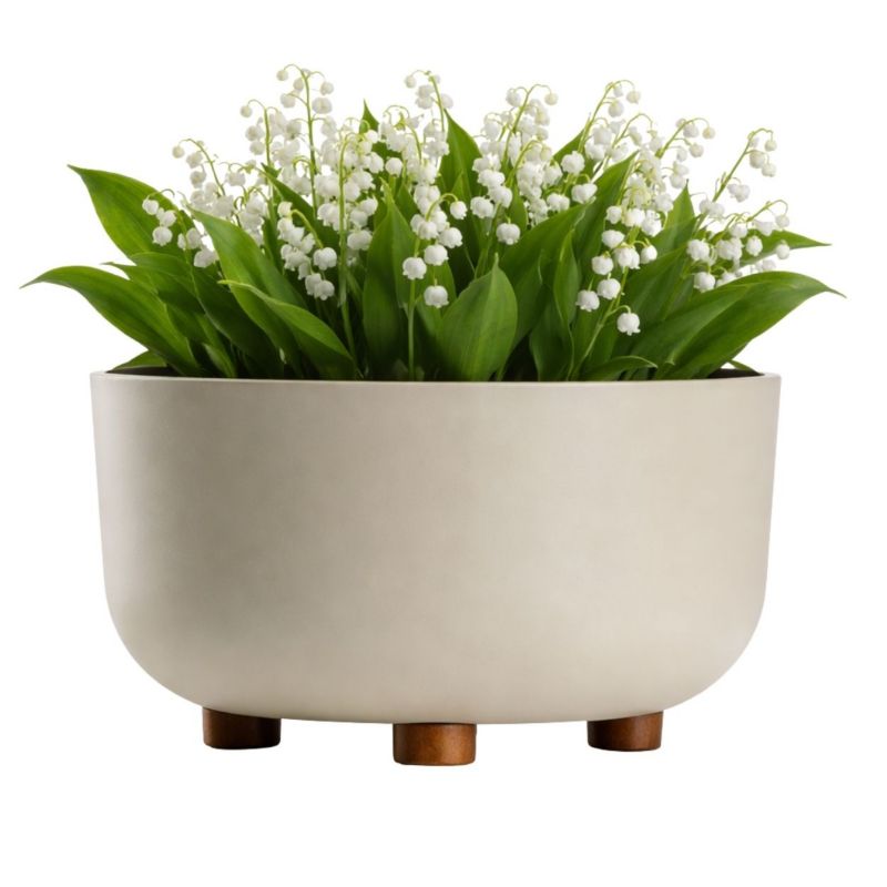 Doniczka misa TERRA HowHomely plastikowa beżowa na nóżkach 26,9 cm 1 szt.