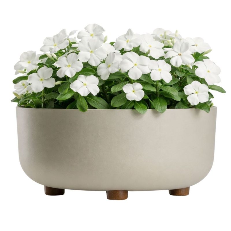 Doniczka misa TERRA HowHomely plastikowa beżowa na nóżkach 29,7 cm 1 szt.