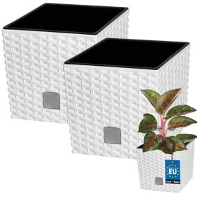Doniczka ogrodowa KOTARBAU rattan z wkładem biała 20x20 cm 2 szt.