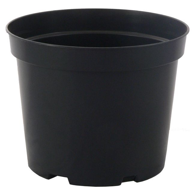 Doniczka produkcyjna 10 l czarna