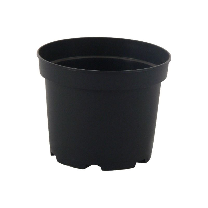 Doniczka produkcyjna 17 cm czarna