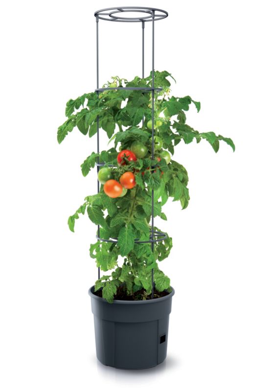 Doniczka Prosperplast do uprawy pomidorów