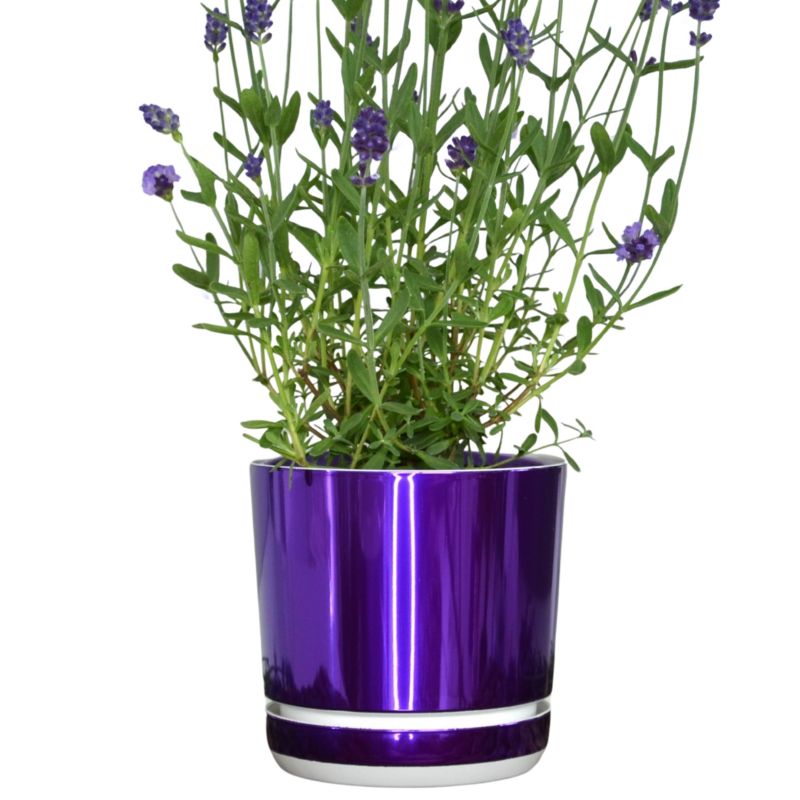 Doniczka z podstawką Kerd 14 cm wzór 090 FIOLETOWA LAWENDA wysoki połysk metaliczny na wrzosy krokusy storczyk orchidea 1 szt.