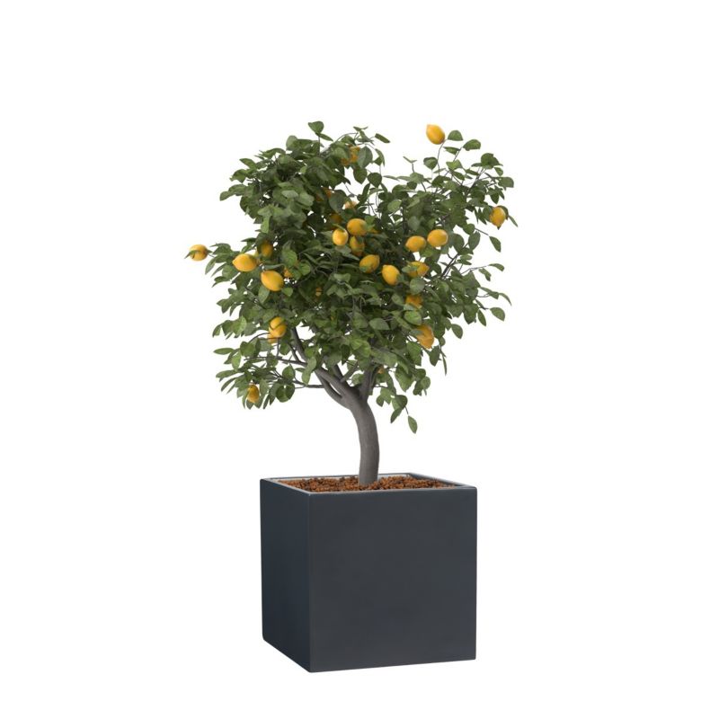 Doniczka Zadora Z Włókna Szklanego Na Taras Do Domu D92A antracyt Mat 1 szt