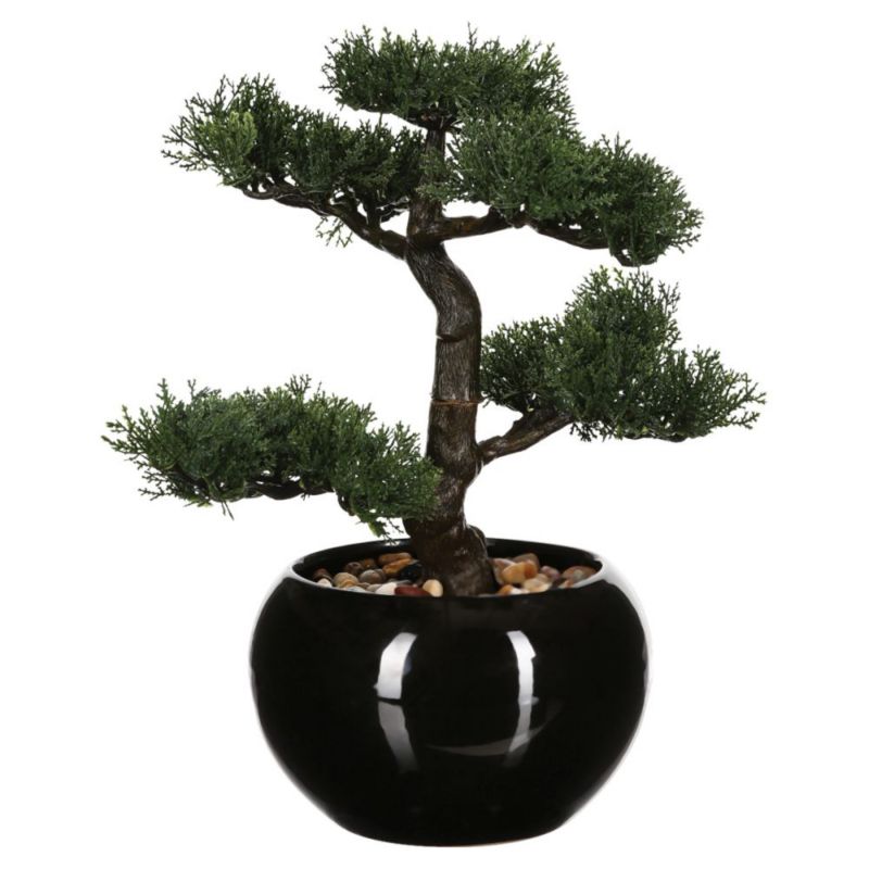 Drzewko bonsai Atmosphera w czarnej doniczce 36 cm 1 szt.