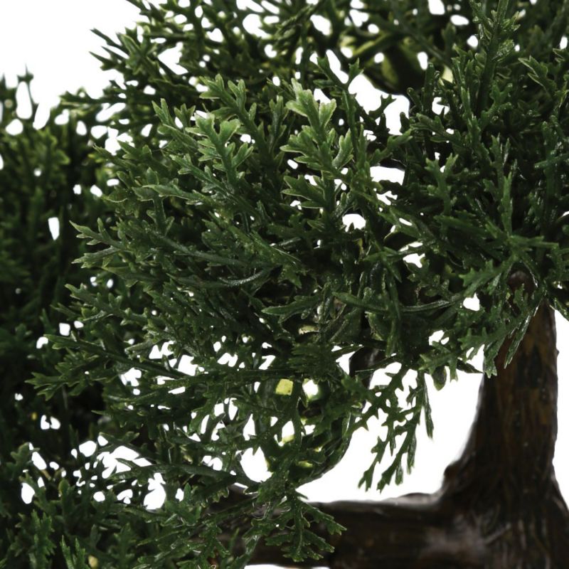 Drzewko bonsai Atmosphera w czarnej doniczce 36 cm 1 szt.