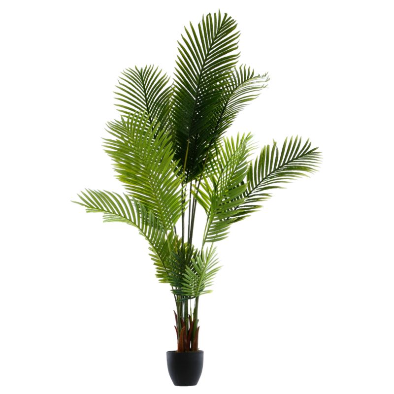 Drzewko palmowe Atmosphera w doniczce 180 cm 1 szt.