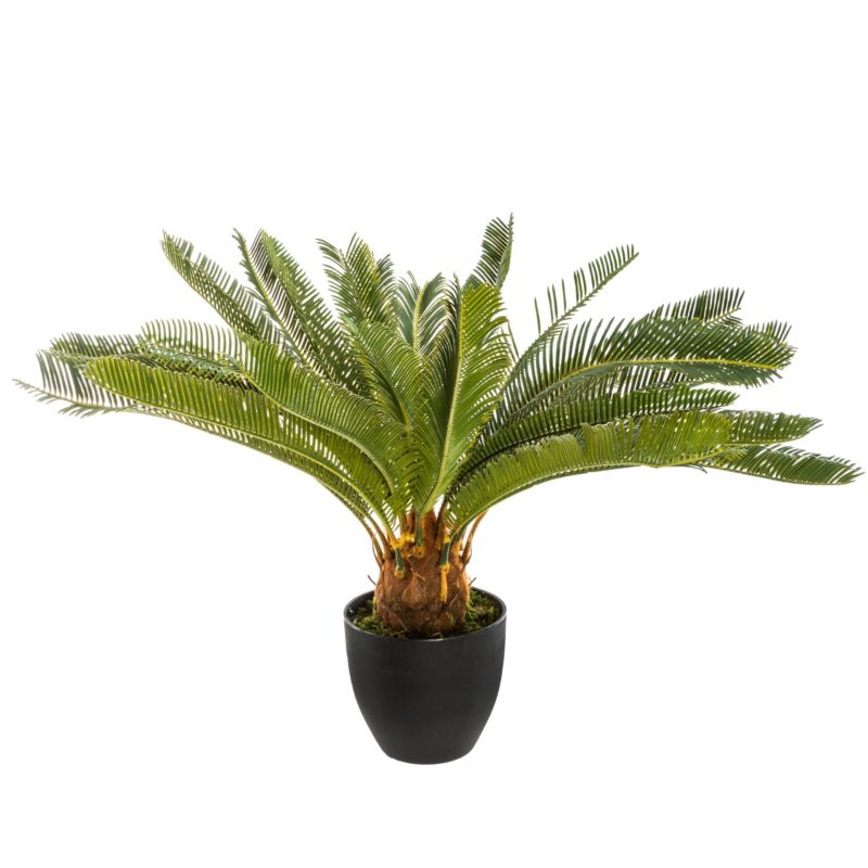 Drzewko palmowe w doniczce Atmosphera zielone 68 cm 1 szt.