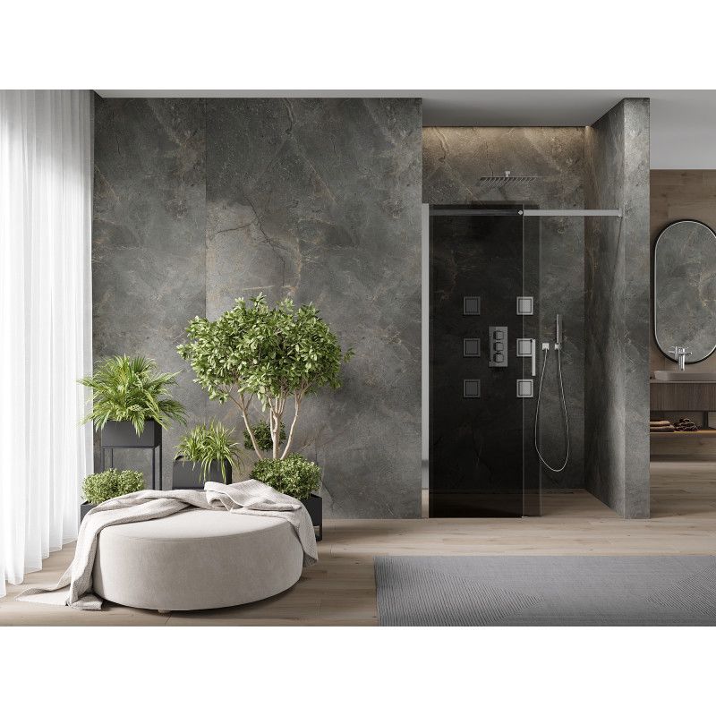 Drzwi prysznicowe Mexen Omega grafit 100x190 cm 1 szt.