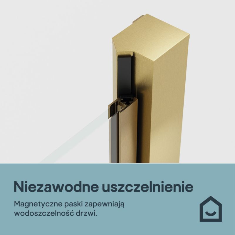 Drzwi prysznicowe uchylne Ledava 80 cm złoto szczotkowane/transparentne