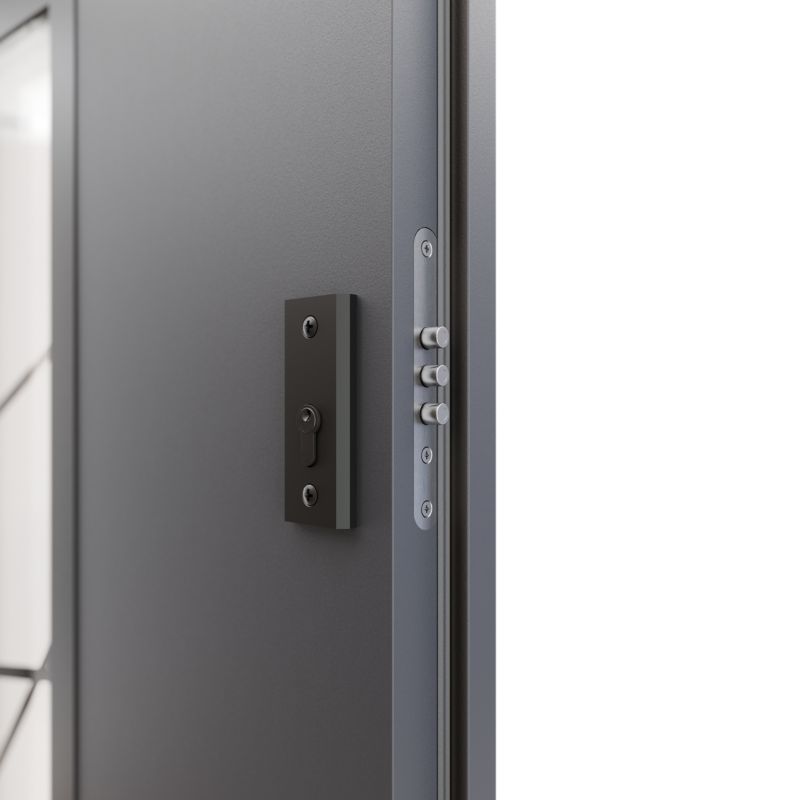 Drzwi zewnętrzne DIDORS Carbon 90 prawe antracyt