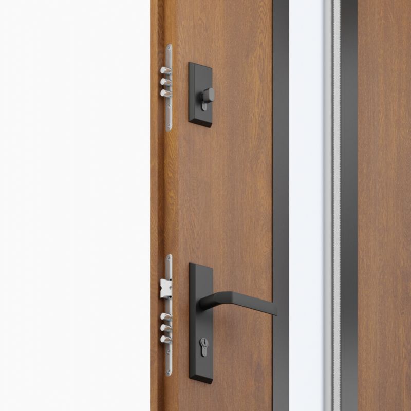 Drzwi zewnętrzne O.K. Doors Temida Black P55 90 lewe złoty dąb