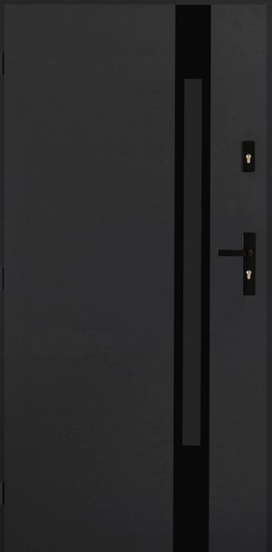 Drzwi zewnętrzne Pantor Etna 100 lewe antracyt black
