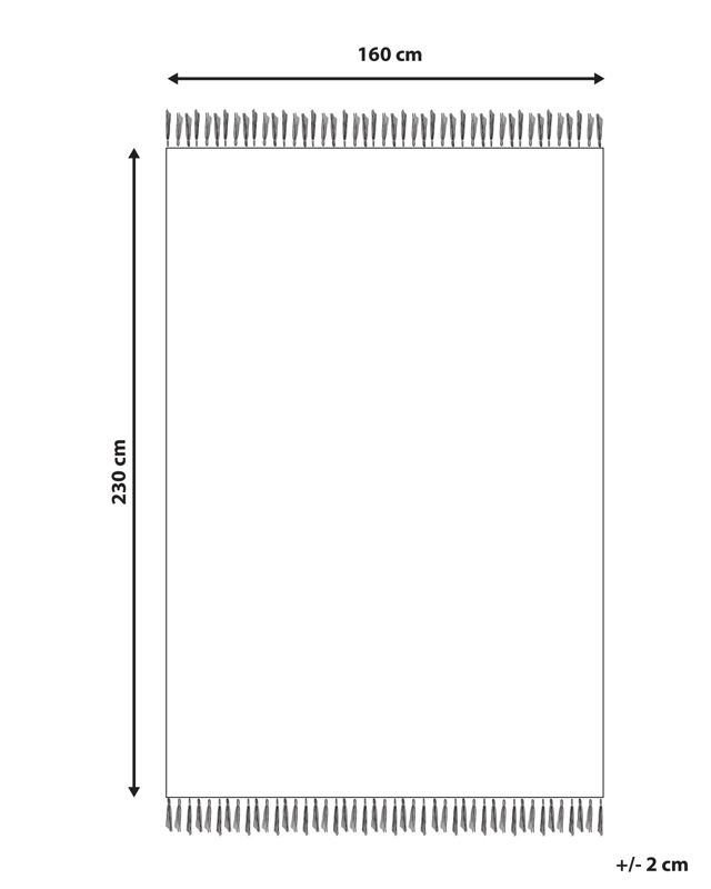 Dywan 160 x 230 cm jasny wielokolorowy Danca 1 szt.