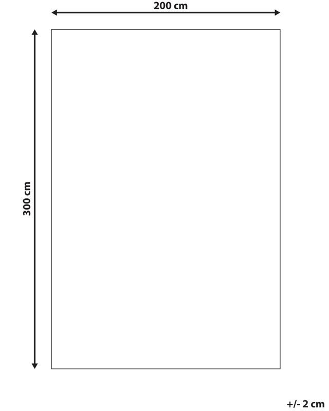Dywan 200 x 300 cm wielokolorowy Nerkin 1 szt.